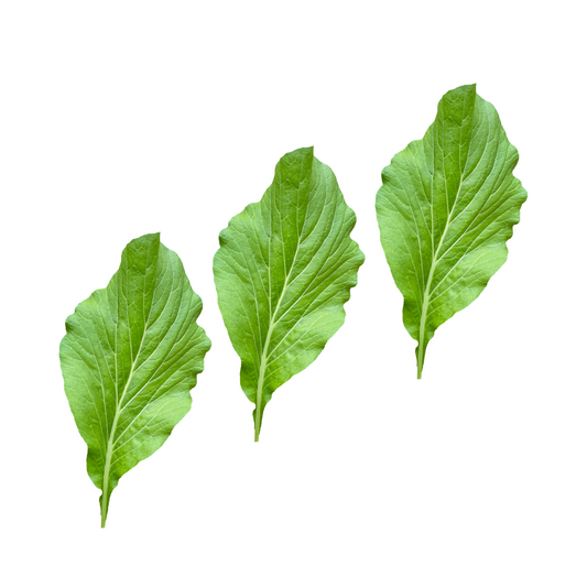 Awa Leaf