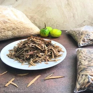 Ukpaka - Ugba - African Oil Bean Seed